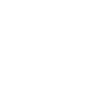 Icon Roof Replacement