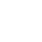 Icon Service Repair